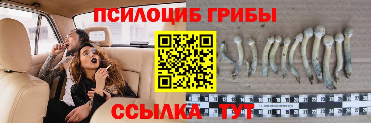 Благовещенск  Псилоцибиновые грибы Magic Shrooms  купить   Галлюциногенные грибы ЛСД  Вход с VPN 